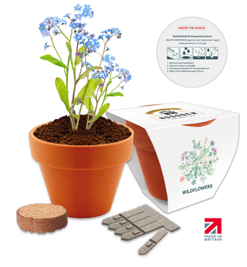 Essentials Clay pot seed garden