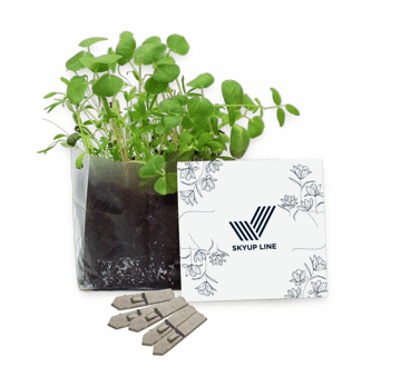 Letterbox Gardens