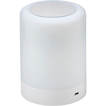 Wireless Speaker 100cm